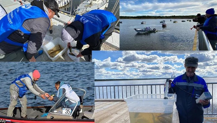 Farklı ülkelerden balıkçılar Finlandiya Körfezi’nde, nükleer tesis yakınında balık tuttular
