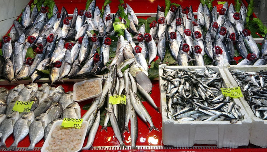 Av sezonu açıldı: Bu yıl hangi balığın yılı olacak Beklenen fiyatlar ne Av sezonu açıldı: Bu yıl hangi balığın yılı olacak Beklenen fiyatlar ne