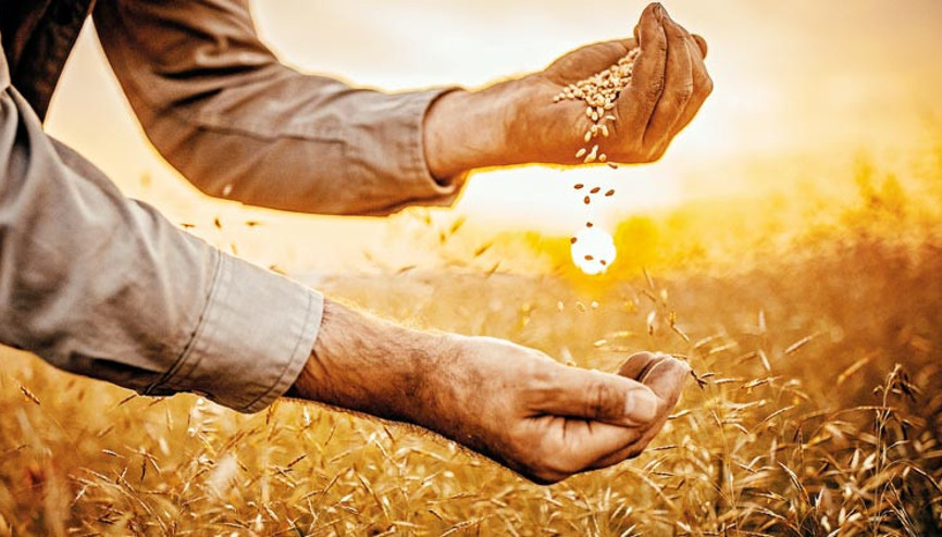 Gıdada tehlike çanları Gıdada tehlike çanları