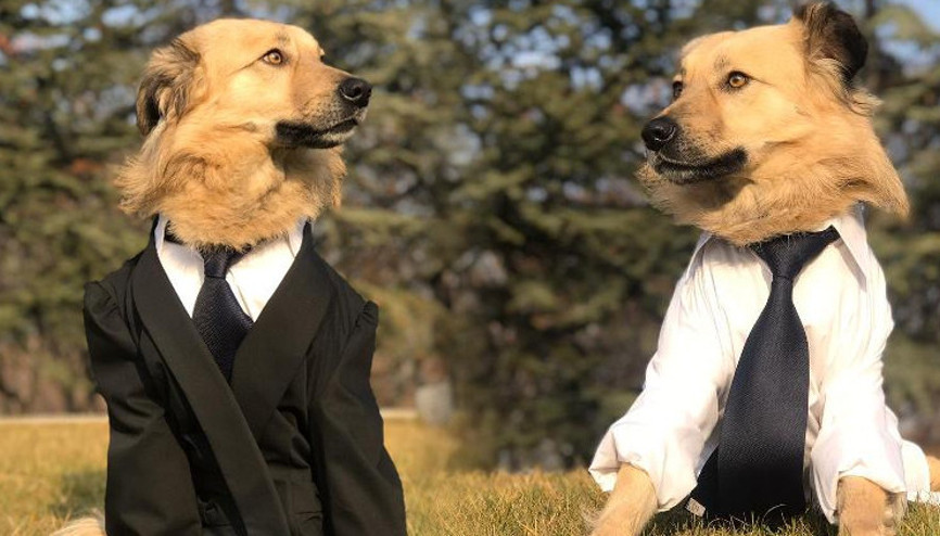 Felçli Dostun evi, Meclis: Özel günlerde takım giyiyor Felçli Dostun evi, Meclis: Özel günlerde takım giyiyor