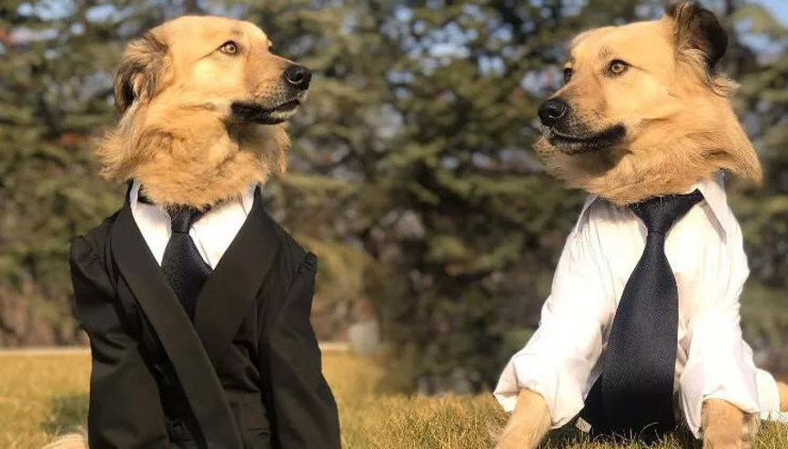 Felçli Dostun evi, Meclis Felçli Dostun evi, Meclis