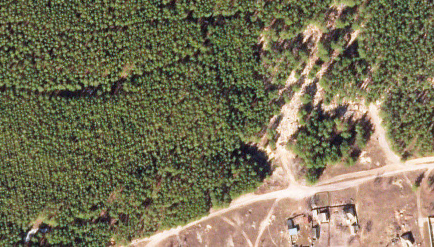 Zelenski: İzyum’da 450 mezar bulundu