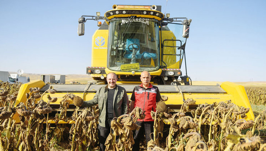 İlk yerli ve milli hibrit ayçiçeği tohumu İlk yerli ve milli hibrit ayçiçeği tohumu