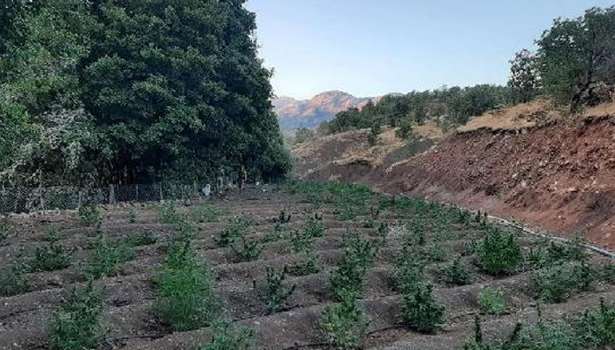 Son dakika... İçişleri Bakanlığı duyurdu: Terör örgütünün finans kaynağına darbe