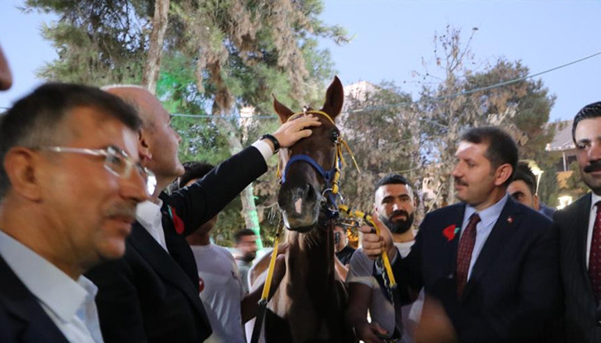 Bakan Soyluya Suruç isimli yarış atı hediye edildi