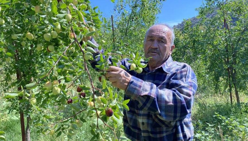 Ata mirasına sahip çıktılar