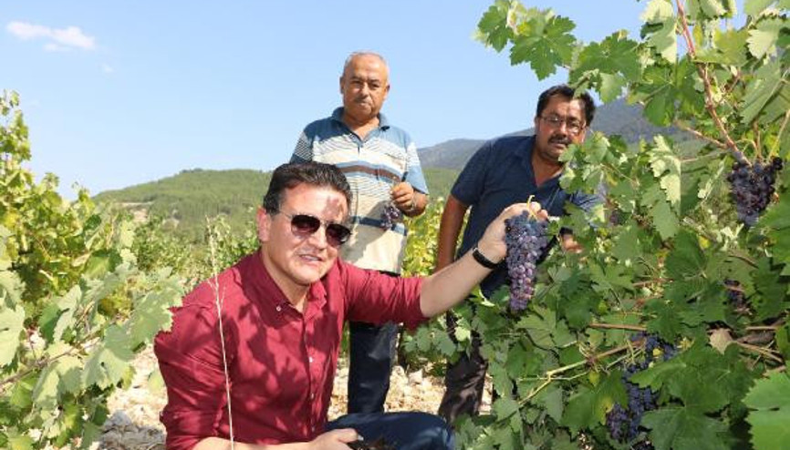 Milletvekili Uslu, Elmalı ve Finikede