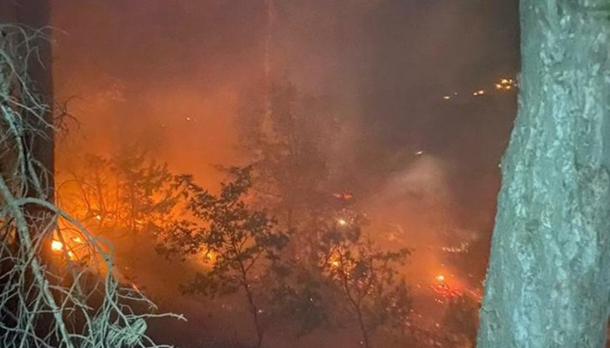 Uşakta çıkan orman yangını kontrol altına alındı
