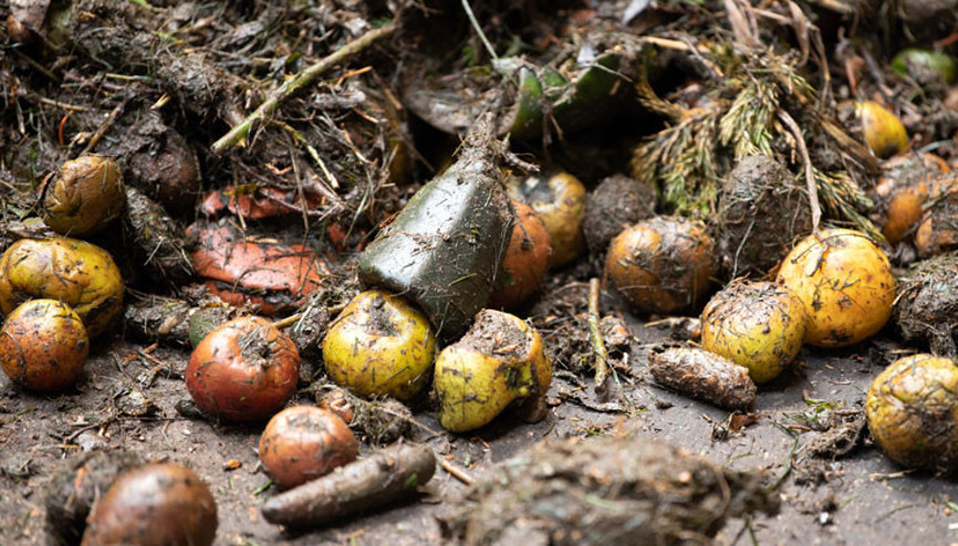Her bir AB vatandaşı başına yılda 173 kilo gıda israf ediliyor