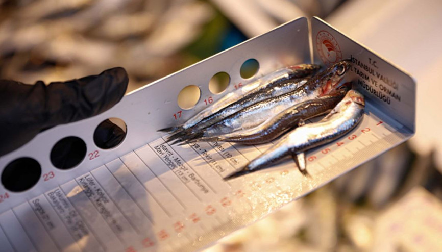 Şikayetler üzerine harekete geçildi... Balıkçılara denetim