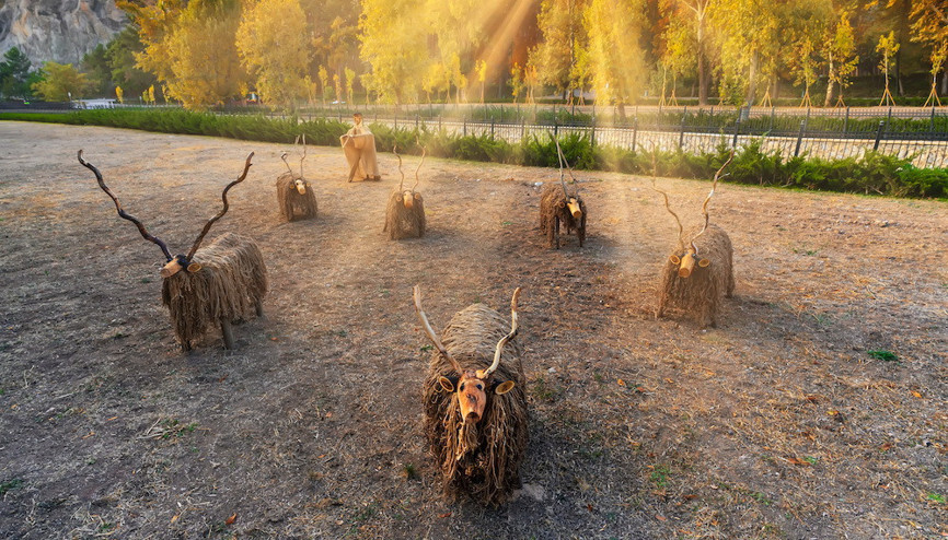 Fotoğrafçılardan plato talebi