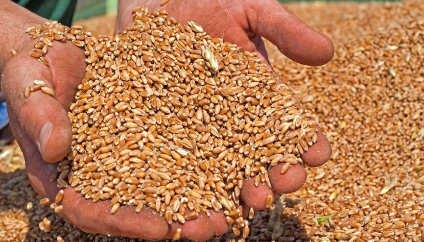 Çiftçiye destek toprağa bereket