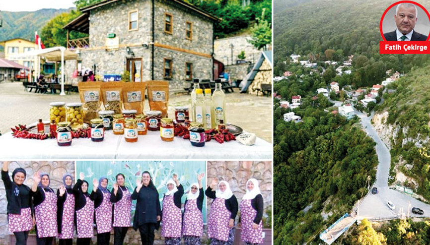 Romandan çıkıp yeniden kanat çırpan o çalıkuşu