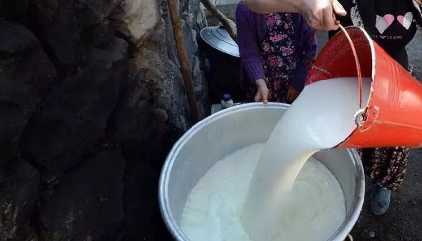 Bakan Kirişci: Çiğ süt fiyatı litre başına 8 lira 50 kuruş olarak belirlendi