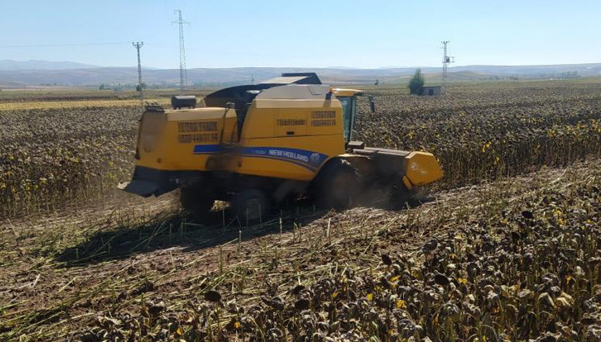 Maliyeti düşük Hasat devam ediyor