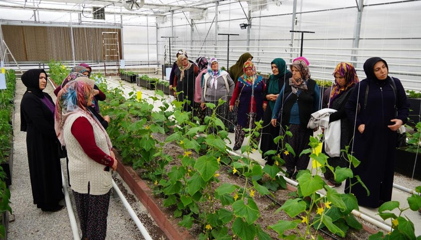 Kadınlar tarladan seraya indiler