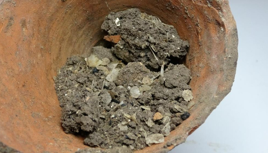 Assos Ören Yerinde amfora içinde 1600 yıllık balık kılçığı ve pulları bulundu