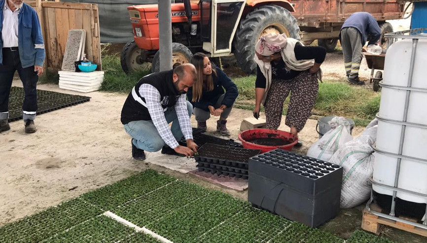 Köylü kadınlar için gelir kapısı