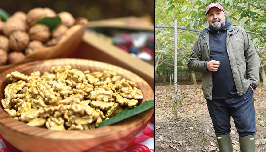 Cevize yerli çözüm