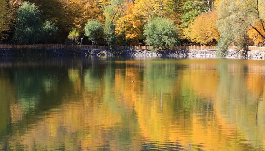 Tablo gibi bir güzellik Karagöl