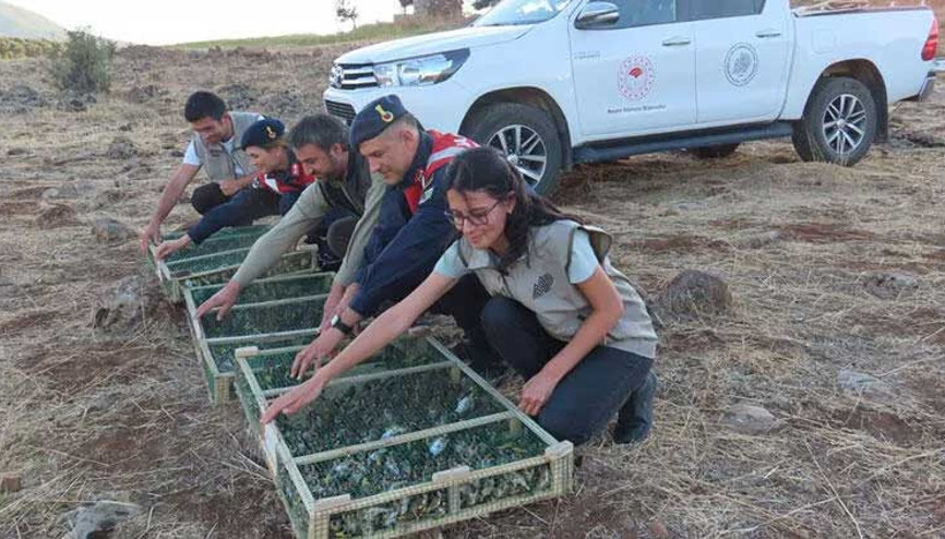 900 sakayı Suriyeye kaçırmak isteyen şüpheliye rekor ceza