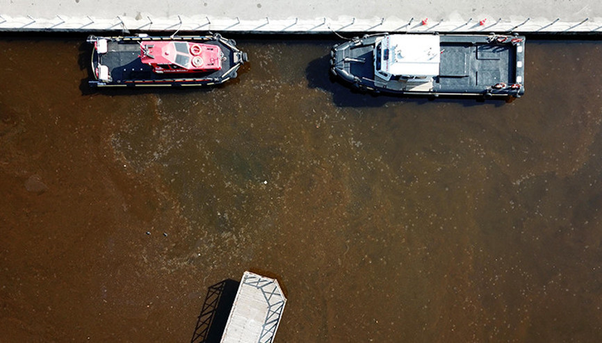 İzmit Körfezinde şaşırtan görüntü Alg çoğalmasıyla kahverengiye döndü