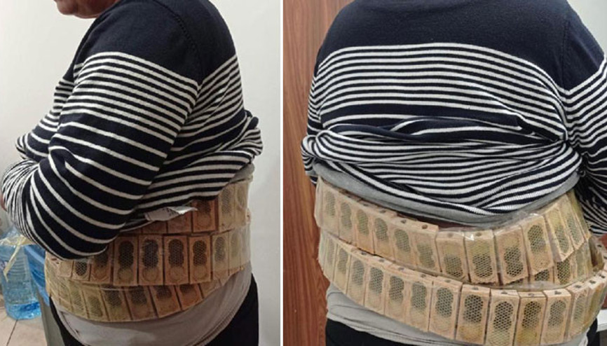 Gümrük kapısında yolcunun belinde 1100 bal arısı ele geçirildi