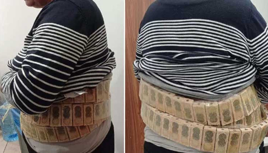 Gümrük kapısında yolcunun belinde 1100 bal arısı ele geçirildi