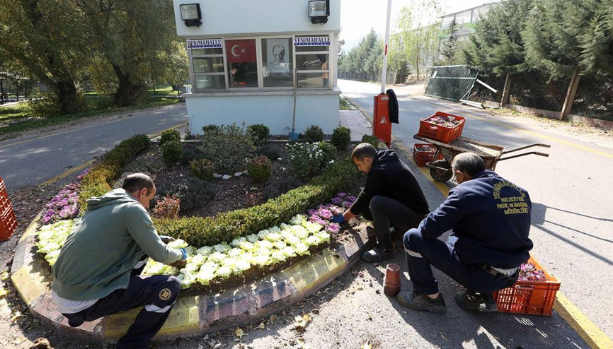Yenimahalle çiçek açacak