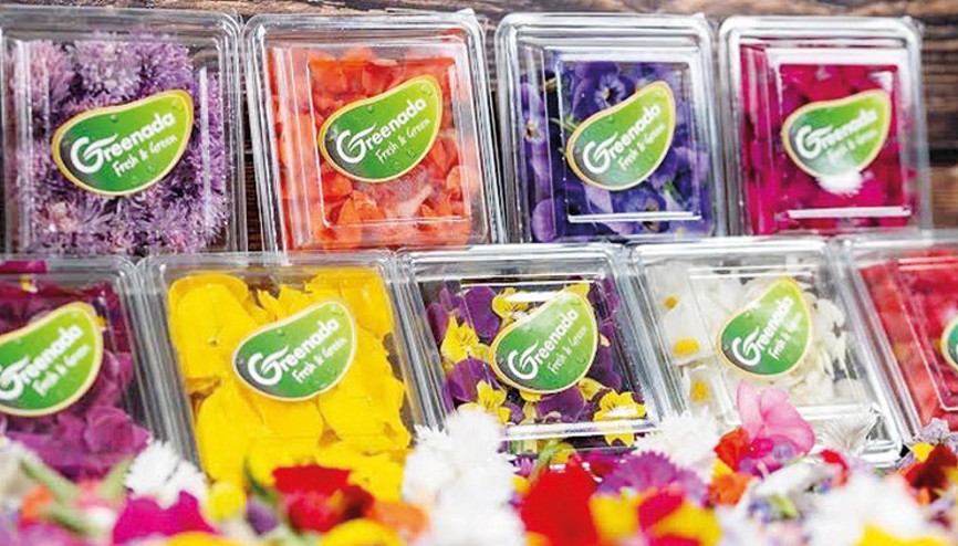 Yenilebilir çiçekler.. Mesut Türk yazdı