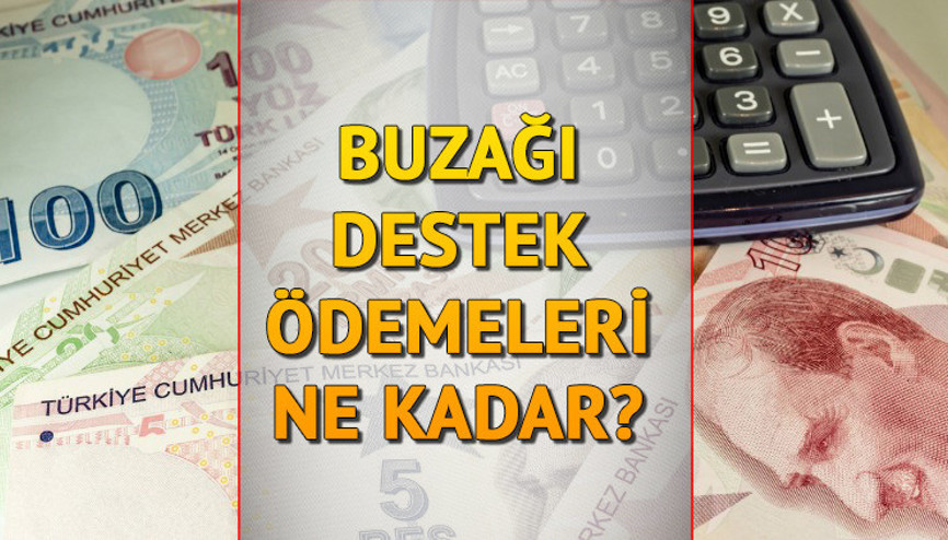 Buzağı desteği ne kadar, kaç TL oldu 2022 Buzağı desteği ne zaman yatacak Çiftçiye ödenecek miktar yükseltildi