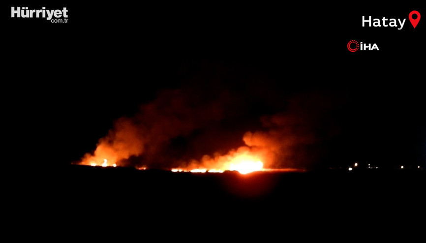 Milleyha Kuş Cennetinde yangın çıktı