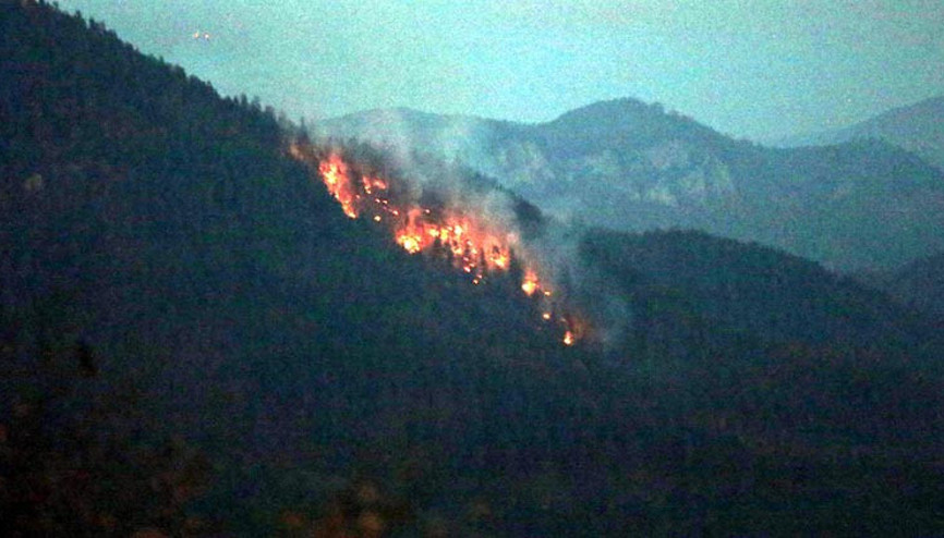 Yedigöllerde yangın 1,5 hektarlık alan zarar gördü