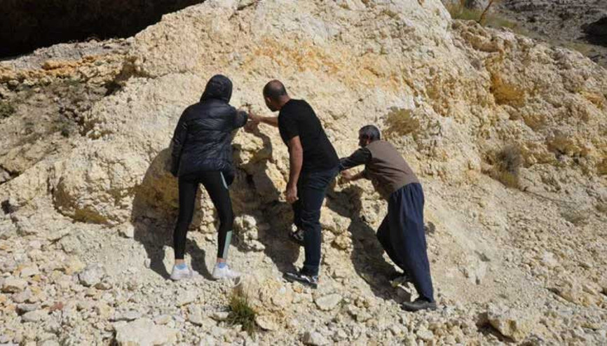 35 milyon yıllık midye fosili bulundu