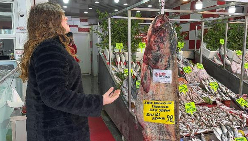 2 buçuk metre boyunda, 98 kilo ağırlığında... Görenler şaşkına döndü