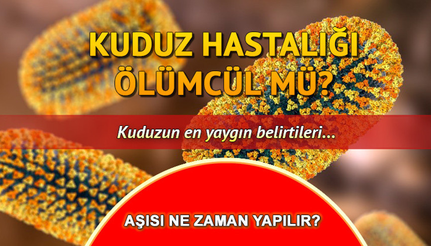 Kuduz hastalığı tedavisi var mı, ölümcül mü Kuduz aşısı ne zaman yaptırılmalı İşte, en sık rastlanan belirtileri...