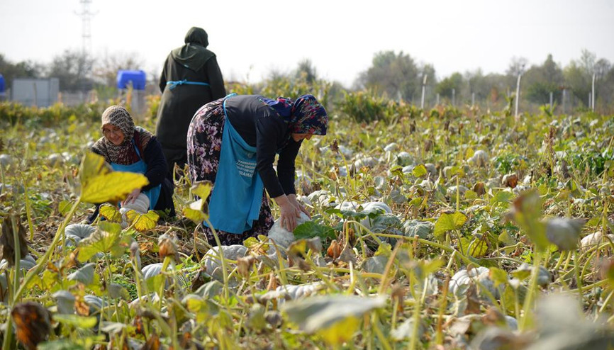 Kahraman kadınların ‘tatlı’ telaşı