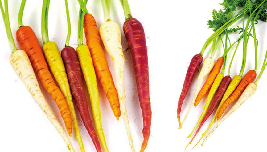 Mesut Türk yazdı... Havuçtan gelen sağlık