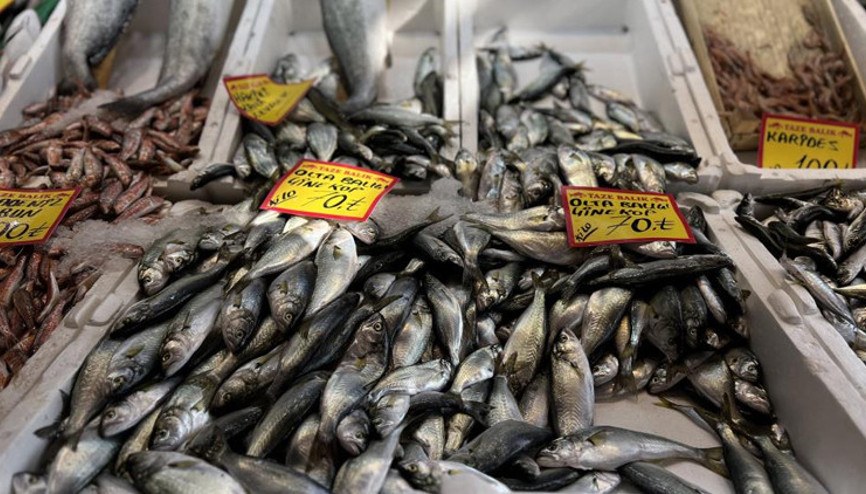 Çinekop bollaştı, fiyatı düştü