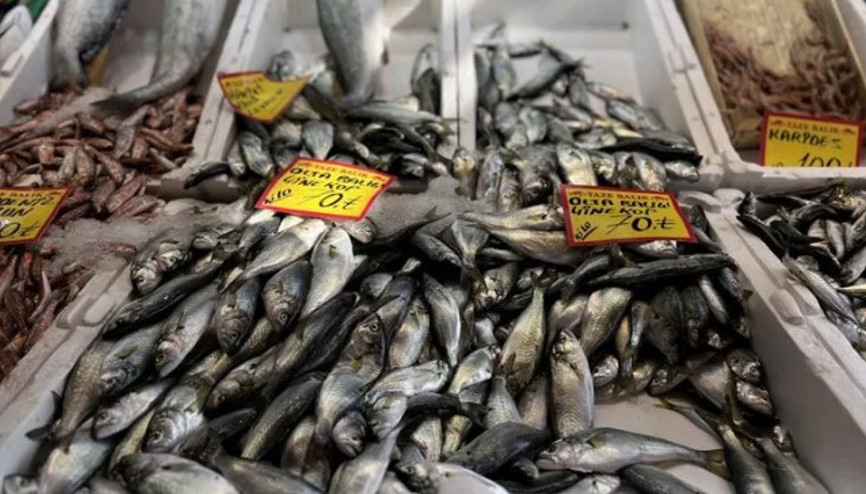 Tezgahlarda çinekop bollaştı, fiyatı yarı yarıya düştü