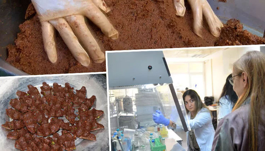 Çiğ köftede salmonella ve bağırsak kökenli bakteri tehlikesi Çiğ köftede salmonella ve bağırsak kökenli bakteri tehlikesi