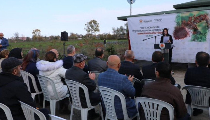 Karadenize sumak bahçesi