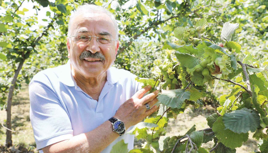 Fındık savaşında soruşturma aşaması