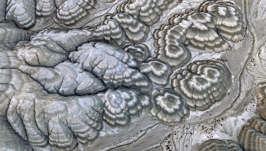 Hayran bırakan kuş cenneti