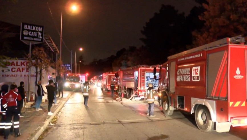 Aydos ormanında yangın