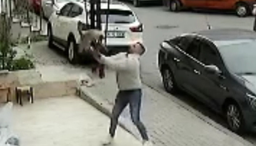 Güngörende 3. kattan düşen kediyi havada yakaladı