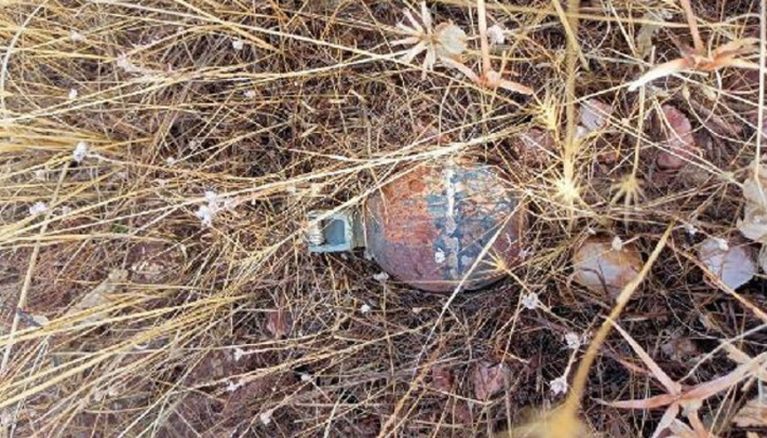 Operasyonda ele geçirilen el bombası ve mayın imha edildi