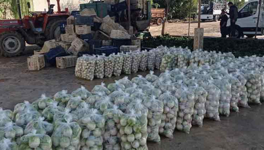 Ispanak ve turp hasadında çalışacak işçi bulunamıyor