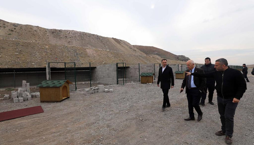 Yenimahalle’ye bin köpek kapasiteli yeni barınak