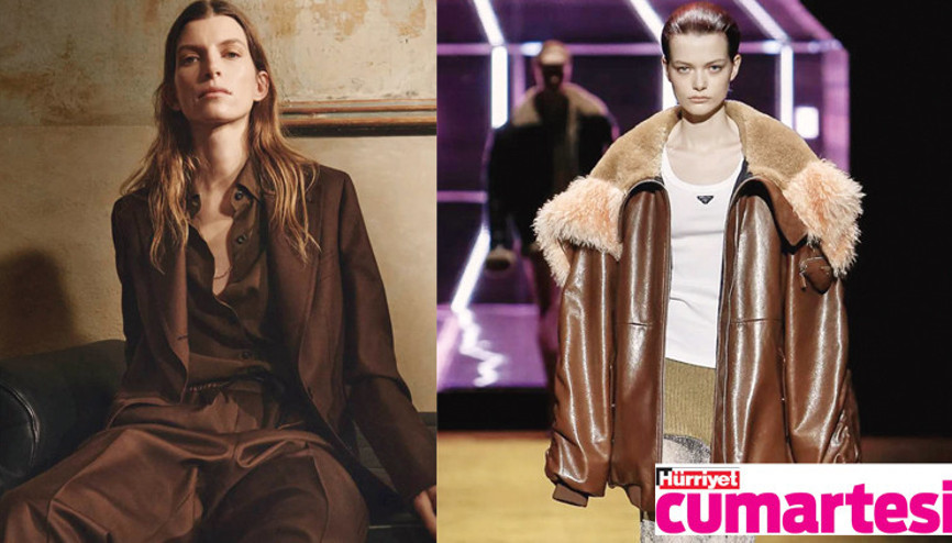 Kahverenginin kışı...